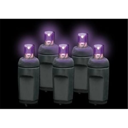 Reinders Reinders 5MM50P-B Premium Grade 5MM 50 LED Purple Frost Holiday Lights String with Black Wire 5MM50P-B